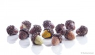 Herfst eikeltjes afbeelding